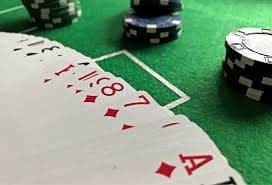 Dealer langsung Microgaming di studio profesional yang disiarkan ke perangkat mobile gacor189